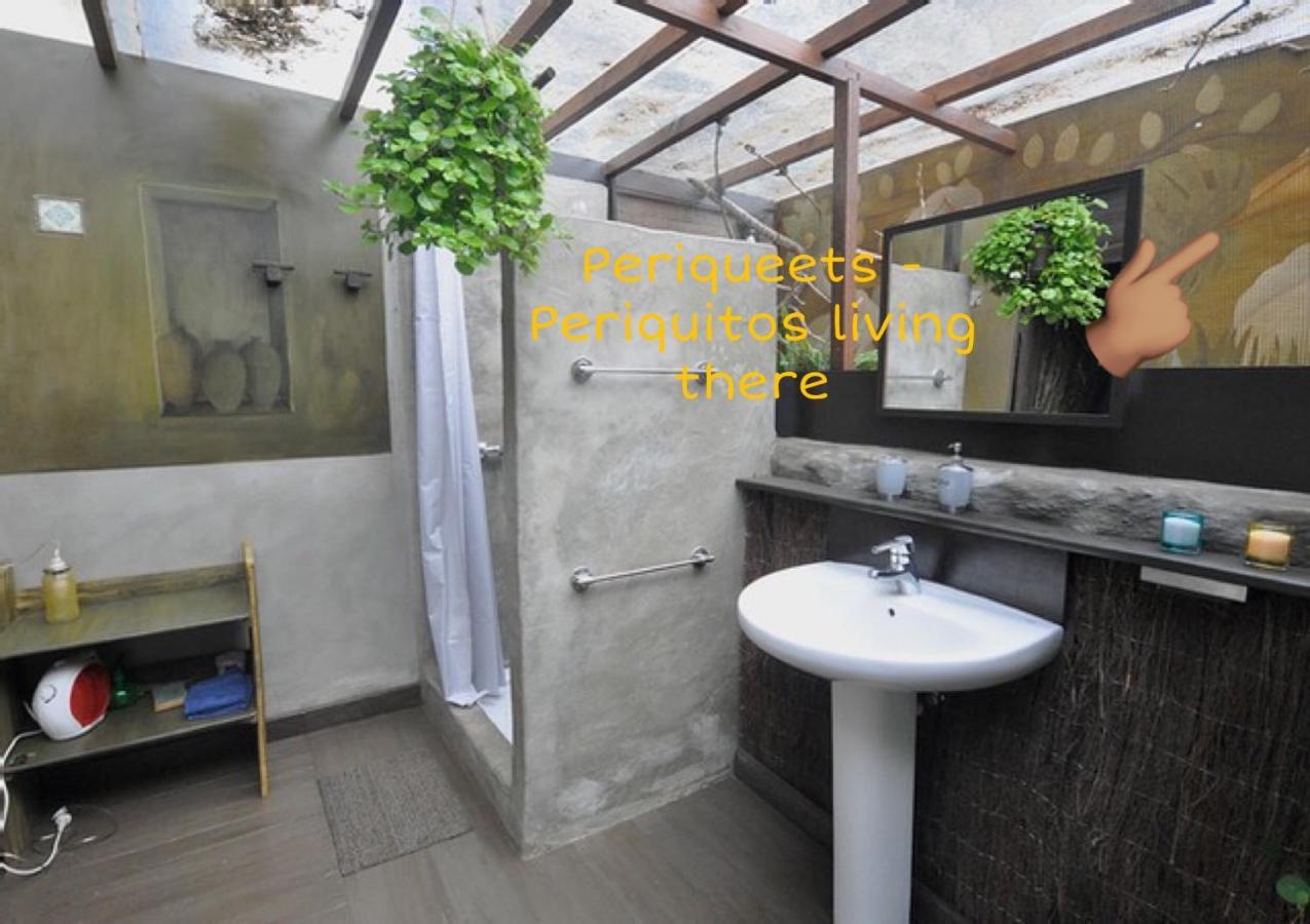 Studio Mazo The Glamping Lodero Esterno foto